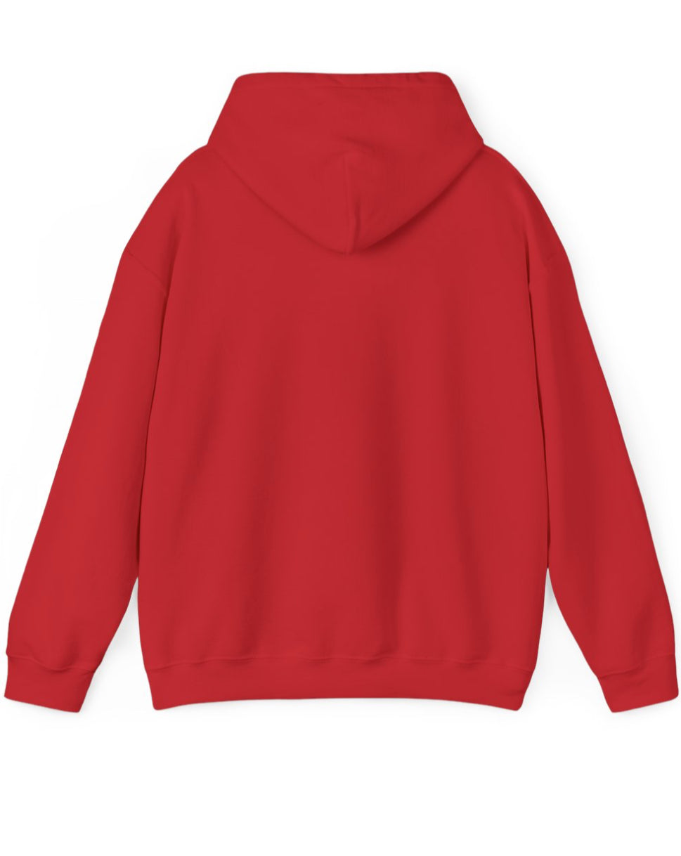 License Plate Unisex Hoodie