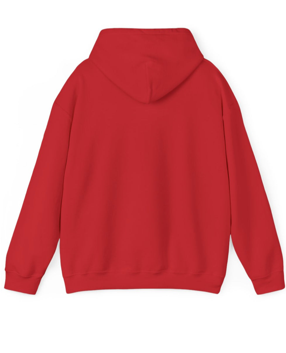 License Plate Unisex Hoodie