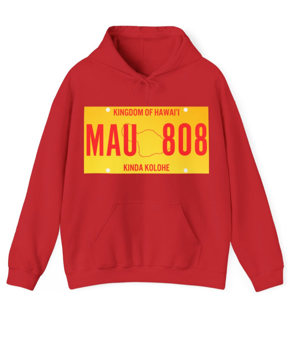 License Plate Unisex Hoodie