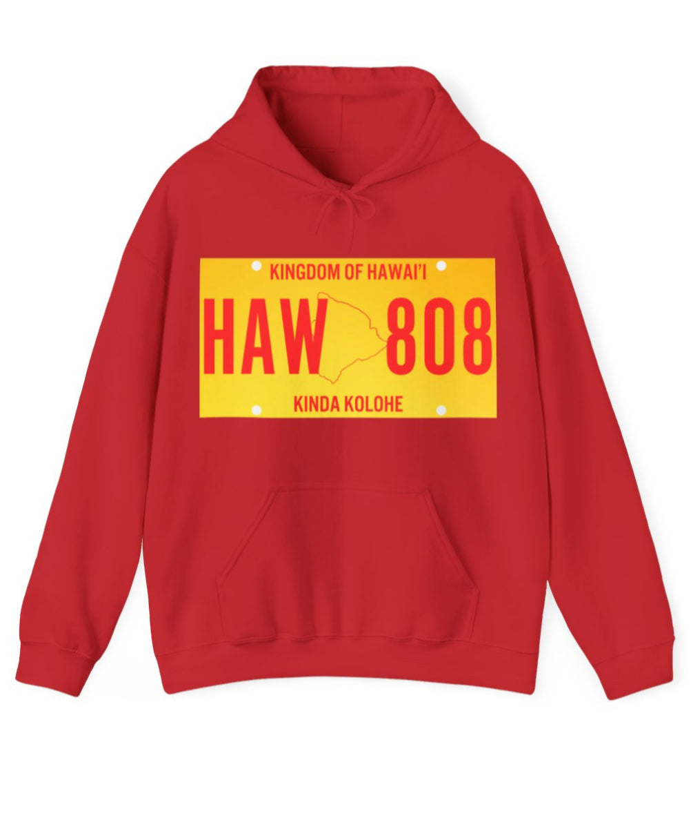 License Plate Unisex Hoodie