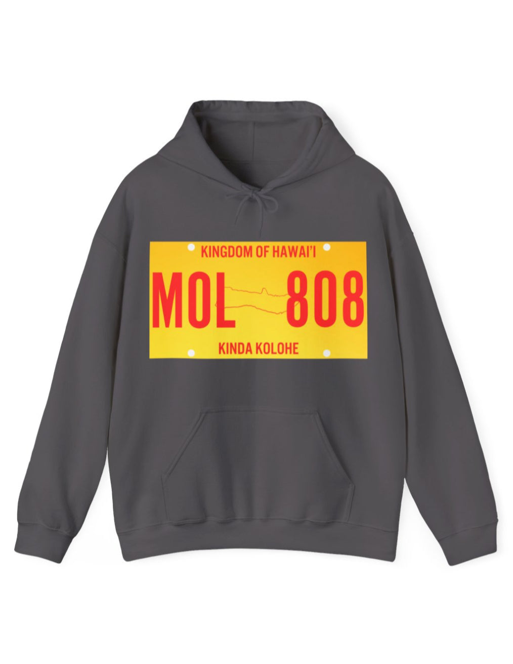 License Plate Unisex Hoodie
