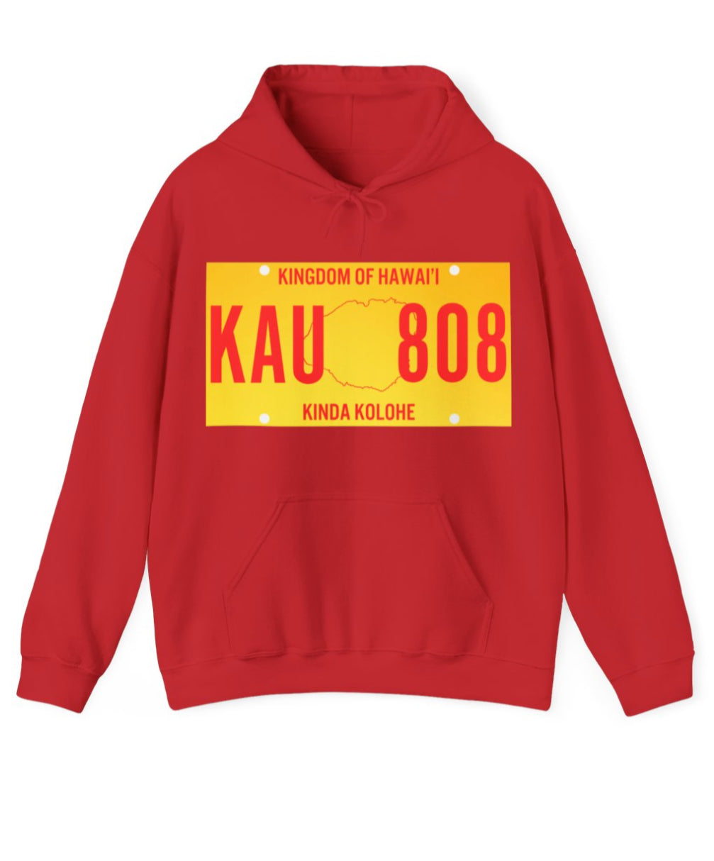 License Plate Unisex Hoodie