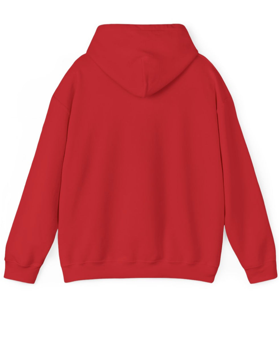 License Plate Unisex Hoodie