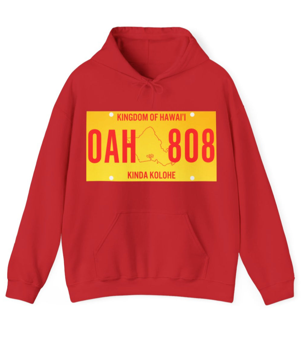 License Plate Unisex Hoodie