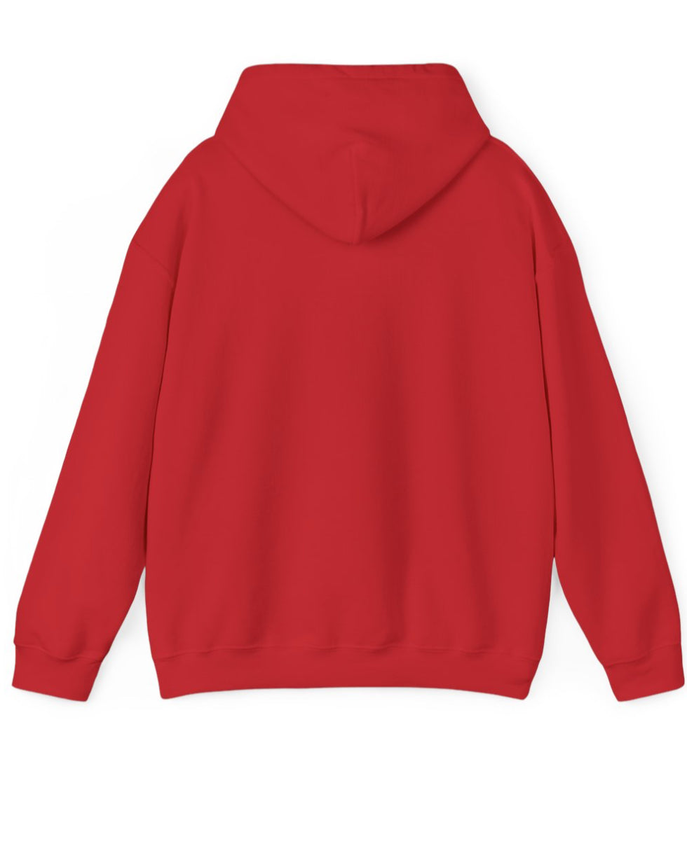 License Plate Unisex Hoodie