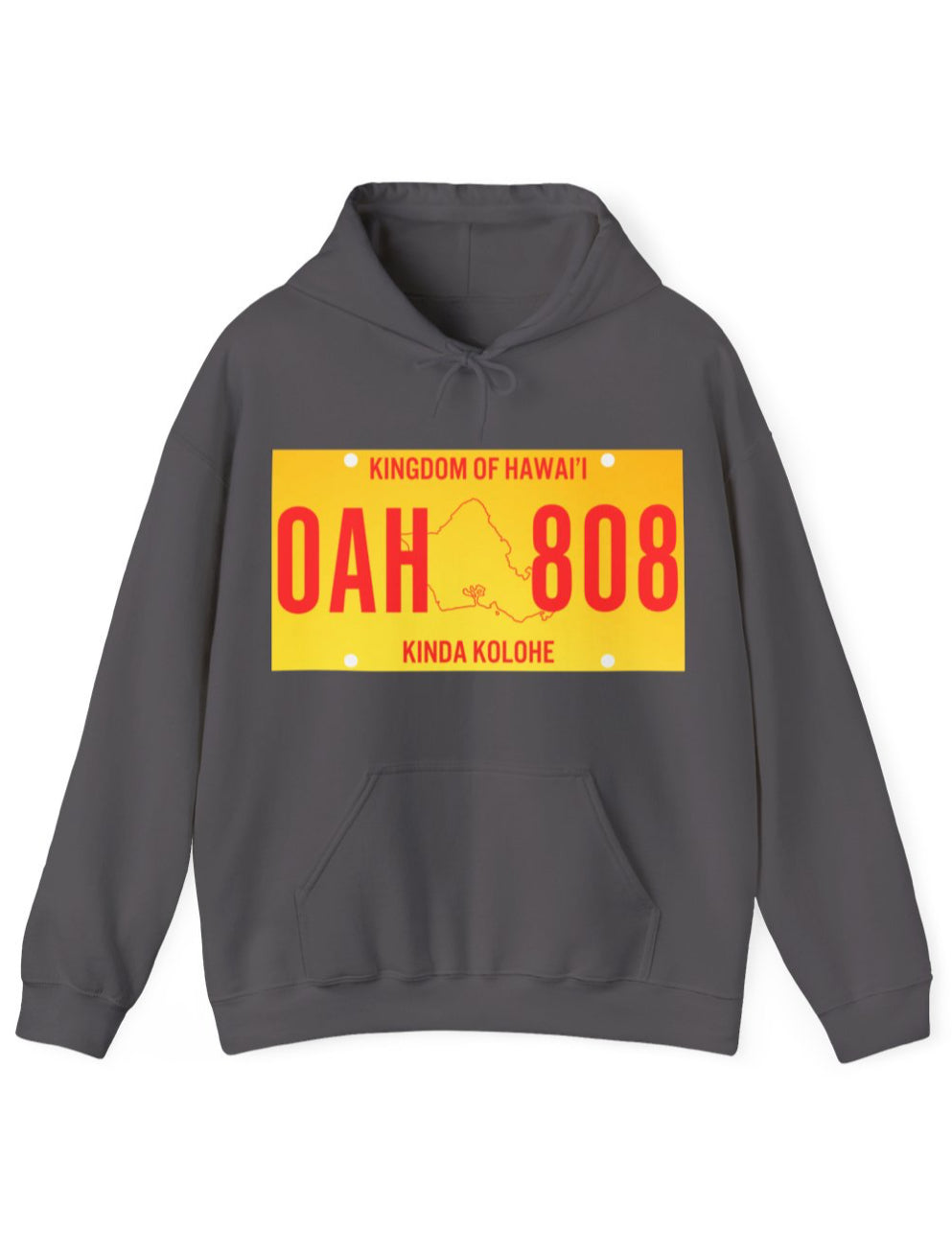 License Plate Unisex Hoodie