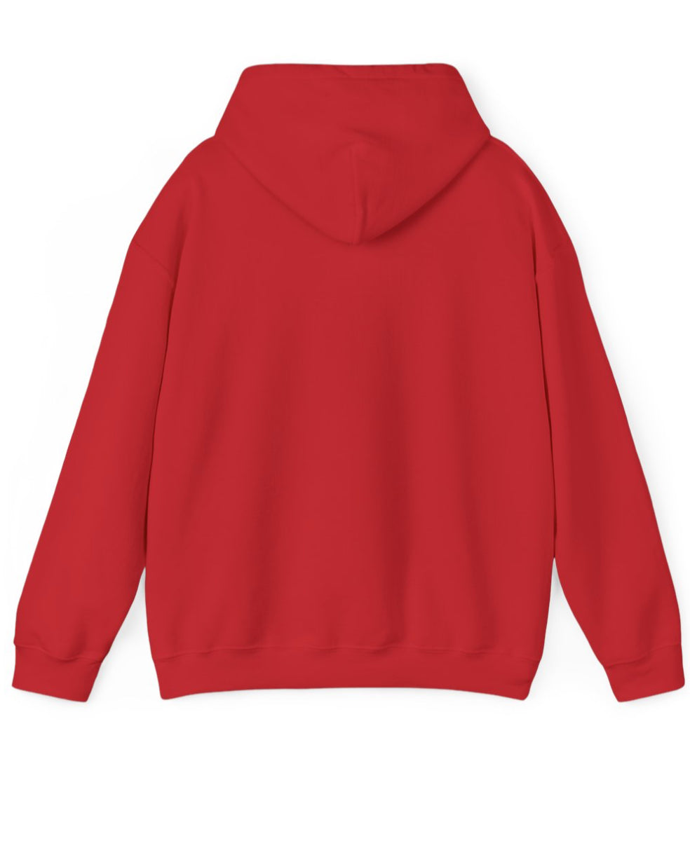 License Plate Unisex Hoodie