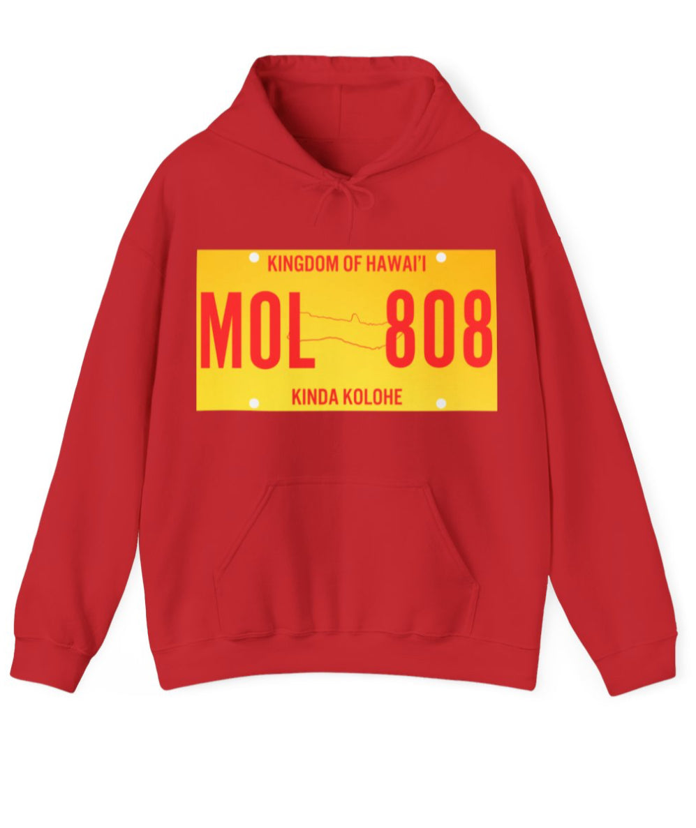 License Plate Unisex Hoodie